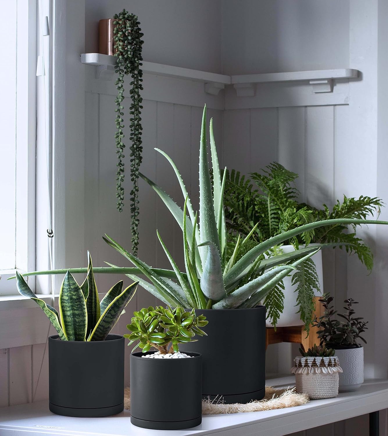 6 Inch 6.5 Inch 8 Inch, Set of 3 Plastic Planter Pots for Plants with Drainage Hole and Seamless Saucers, Black Color, Medium, 74-V-B-3