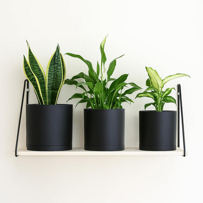 6 Inch 6.5 Inch 8 Inch, Set of 3 Plastic Planter Pots for Plants with Drainage Hole and Seamless Saucers, Black Color, Medium, 74-V-B-3