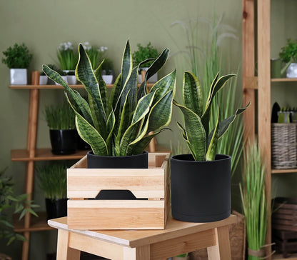 6 Inch 6.5 Inch 8 Inch, Set of 3 Plastic Planter Pots for Plants with Drainage Hole and Seamless Saucers, Black Color, Medium, 74-V-B-3